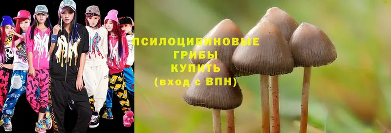 ОМГ ОМГ как войти  Адыгейск  Галлюциногенные грибы Psilocybe 